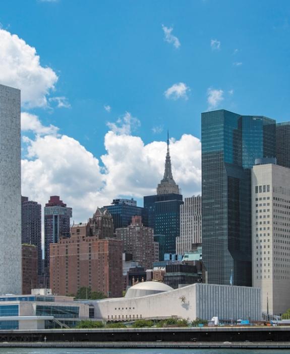 The International Law Library Peace Palace Library